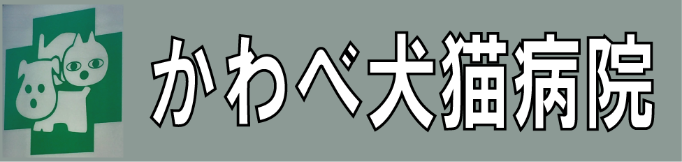 かわべ犬猫病院